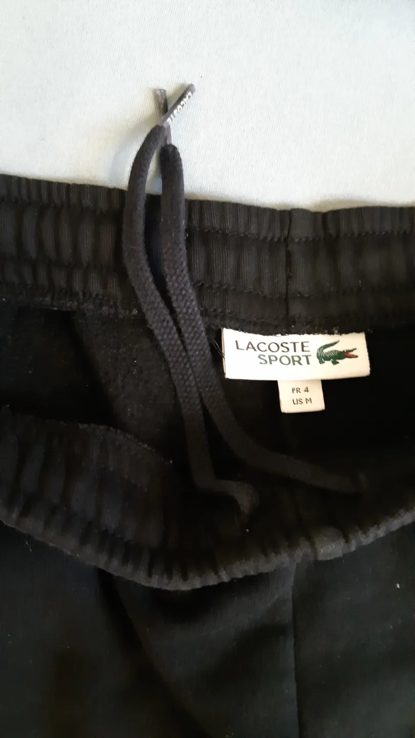Jogger Sweatpant Lacoste image indicator(2)