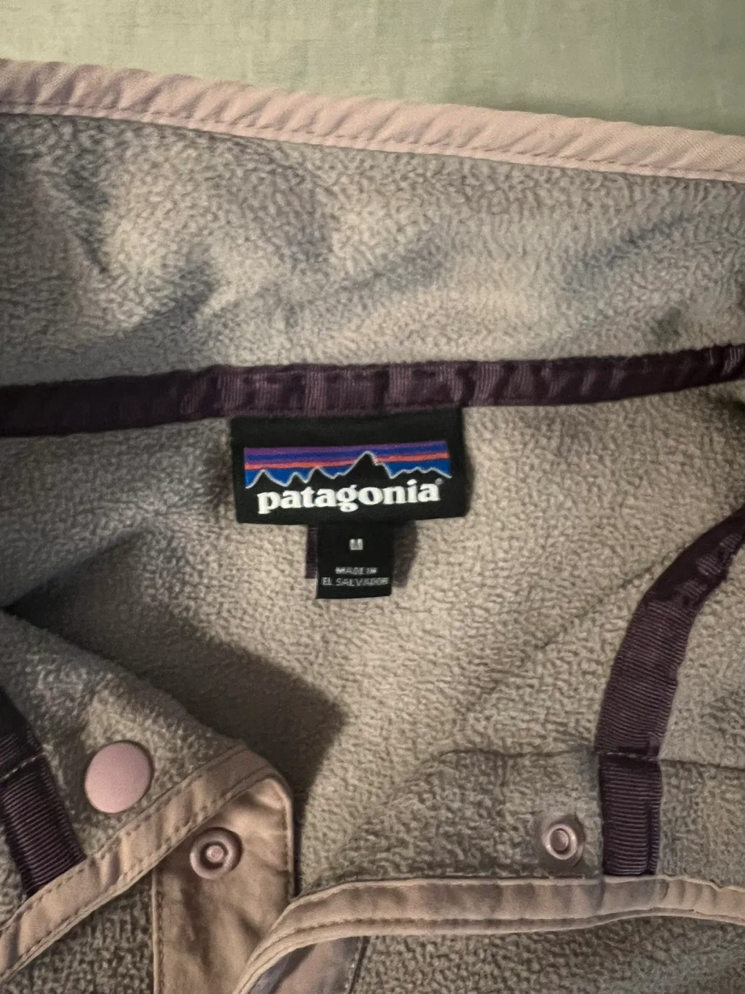 Patagonia Micro D Snap-T Fleece Pullover - medium image indicator(3)