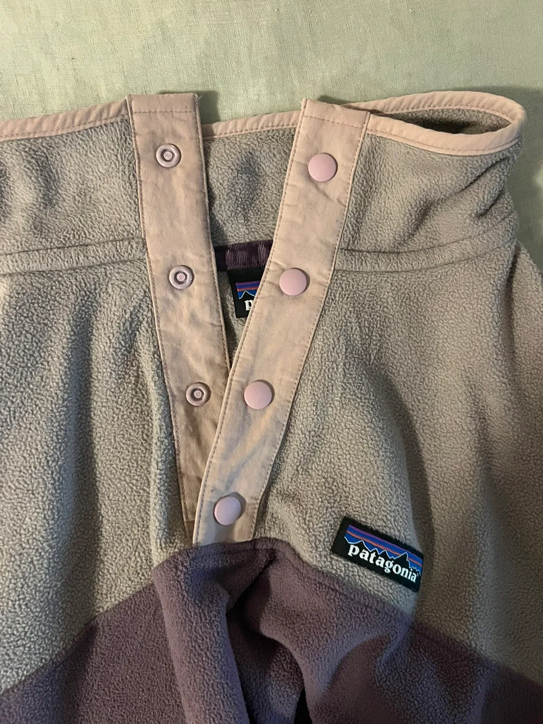 Patagonia Micro D Snap-T Fleece Pullover - medium image indicator(9)