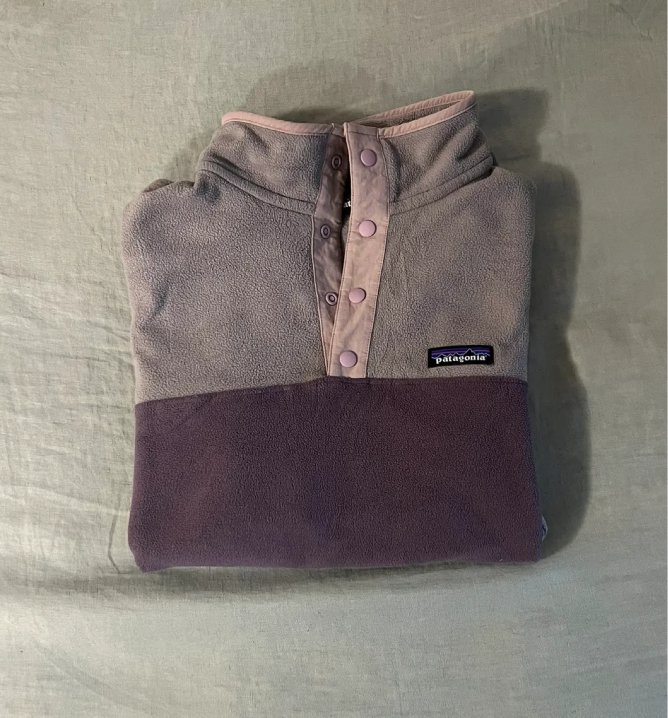 Patagonia Micro D Snap-T Fleece Pullover - medium image indicator(2)