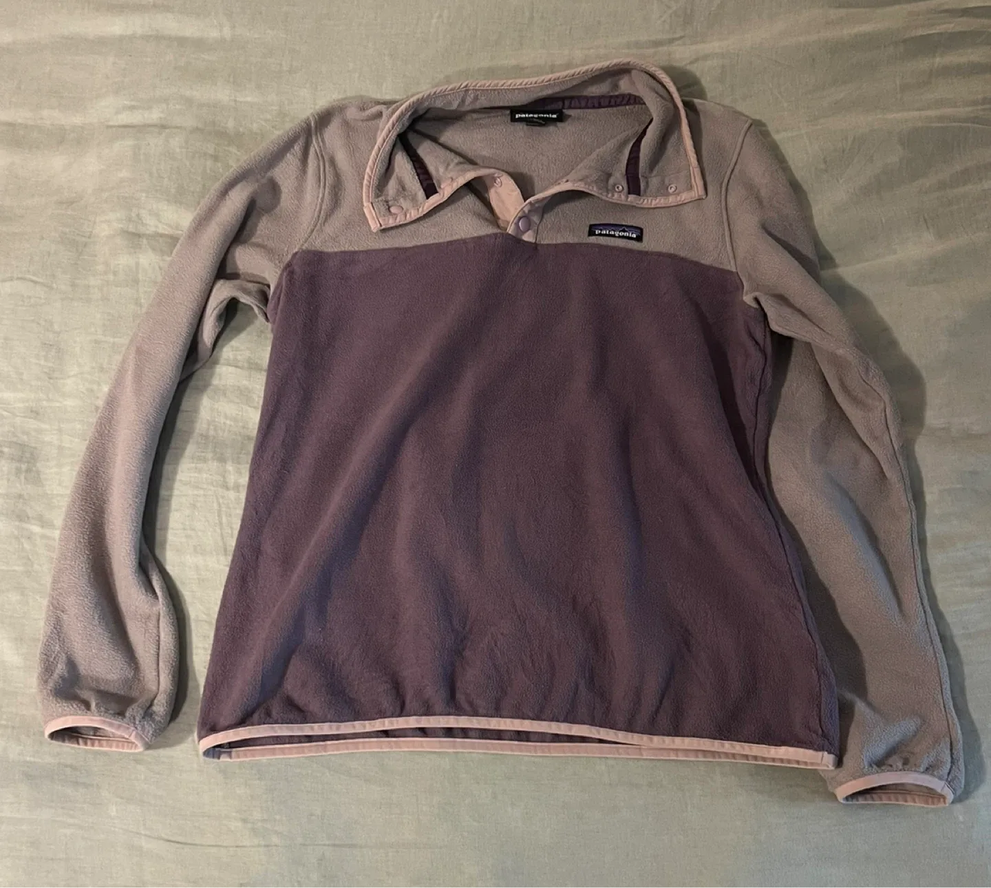 Patagonia Micro D Snap-T Fleece Pullover - medium image indicator(4)