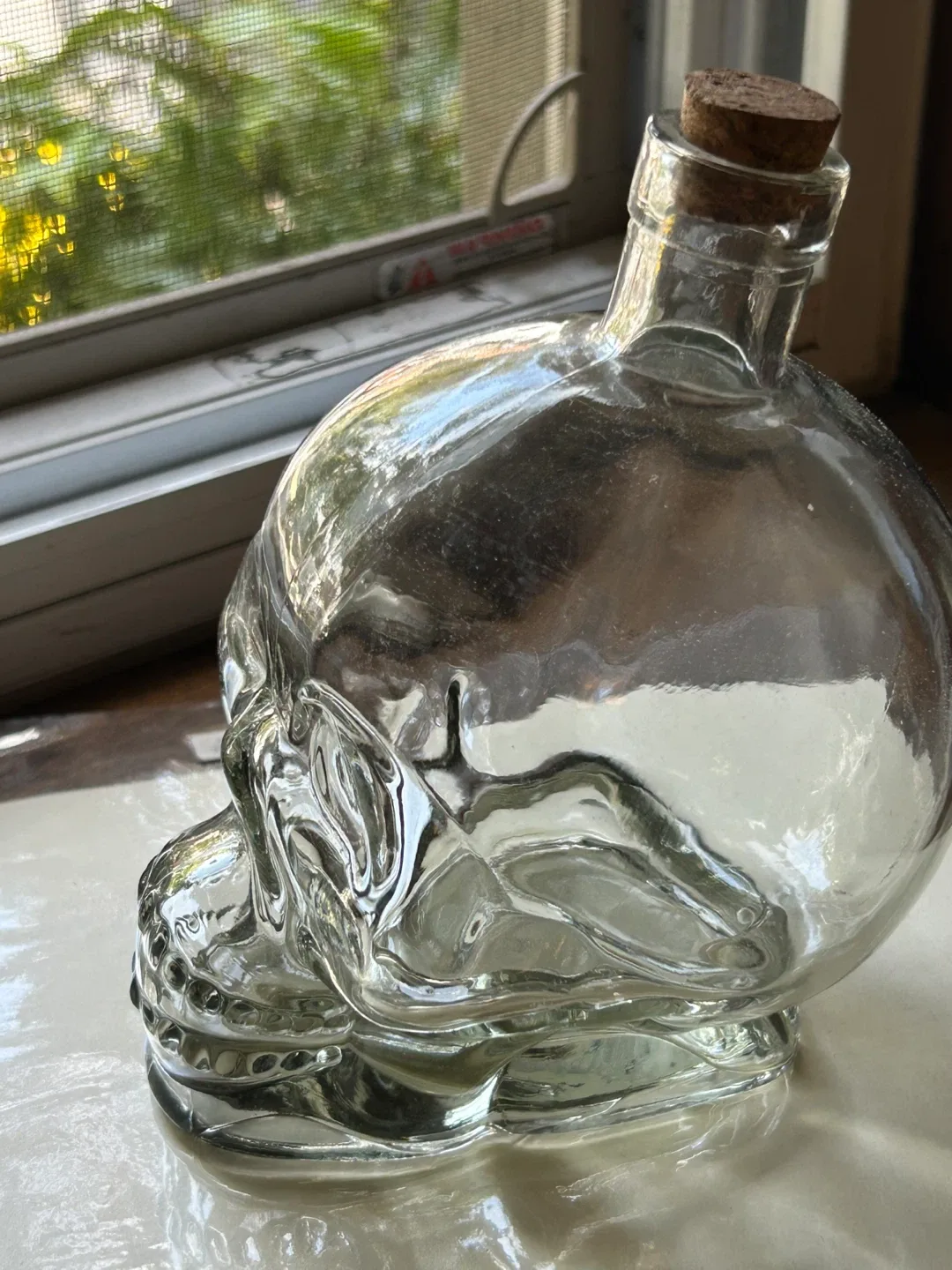 $5 glass skull bottle cork vase Halloween decor thumbnail