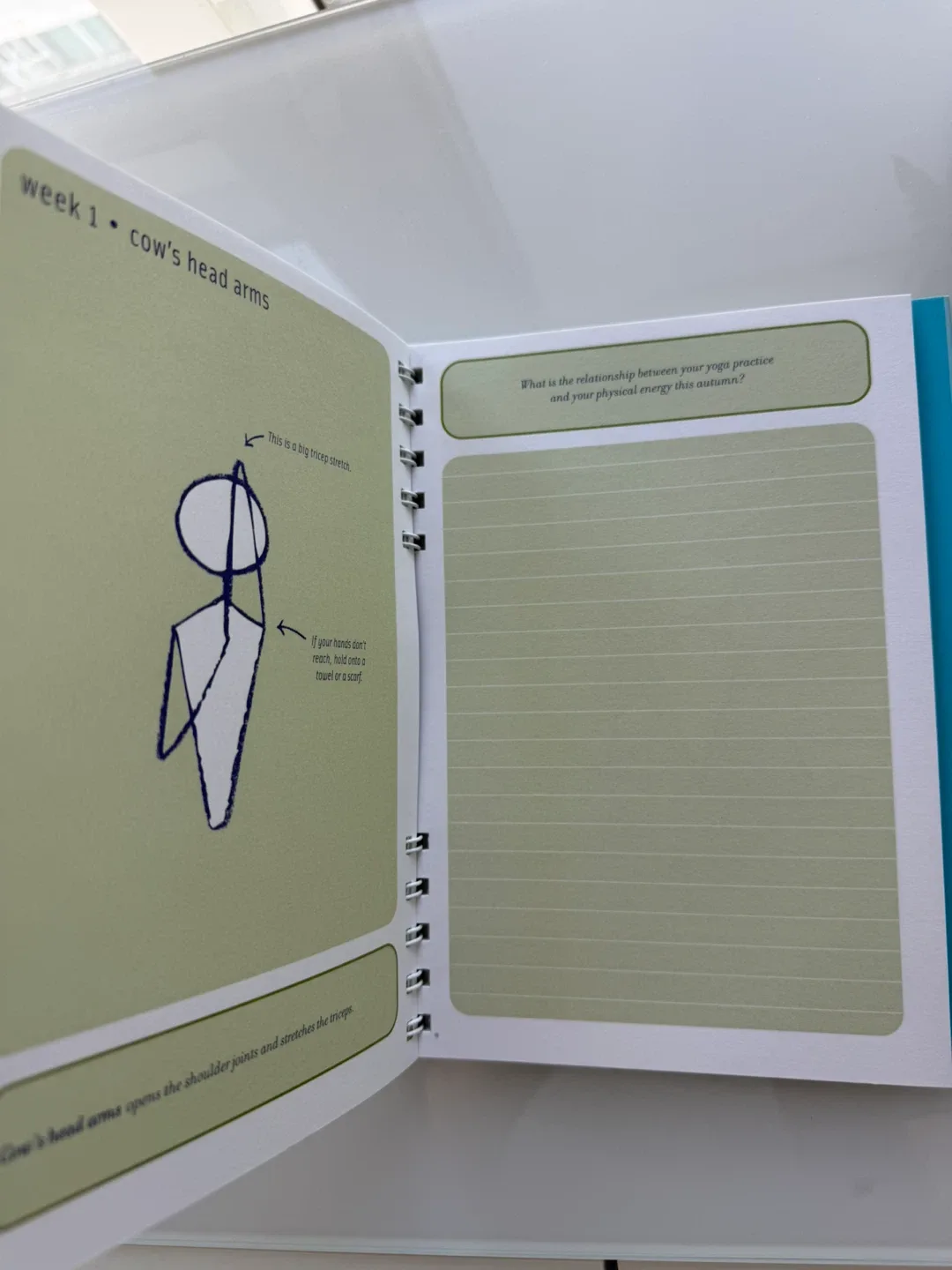 OM AT HOME: A Yoga Journal by Cyndi Lee image indicator(2)