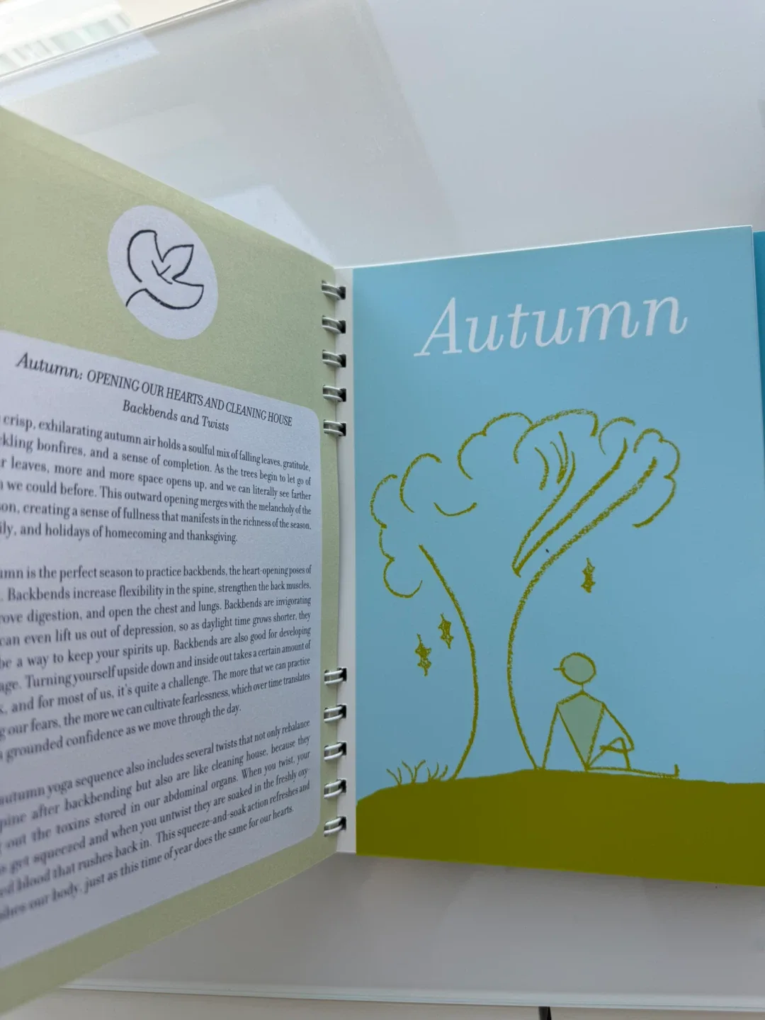 OM AT HOME: A Yoga Journal by Cyndi Lee image indicator(3)