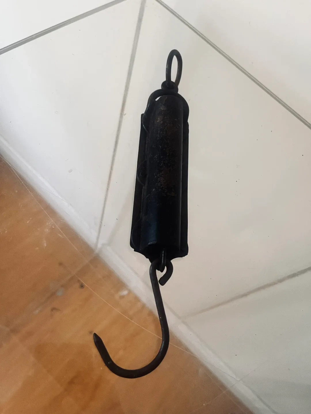 Excelsior Spring Balance Fish Sargent & Co.