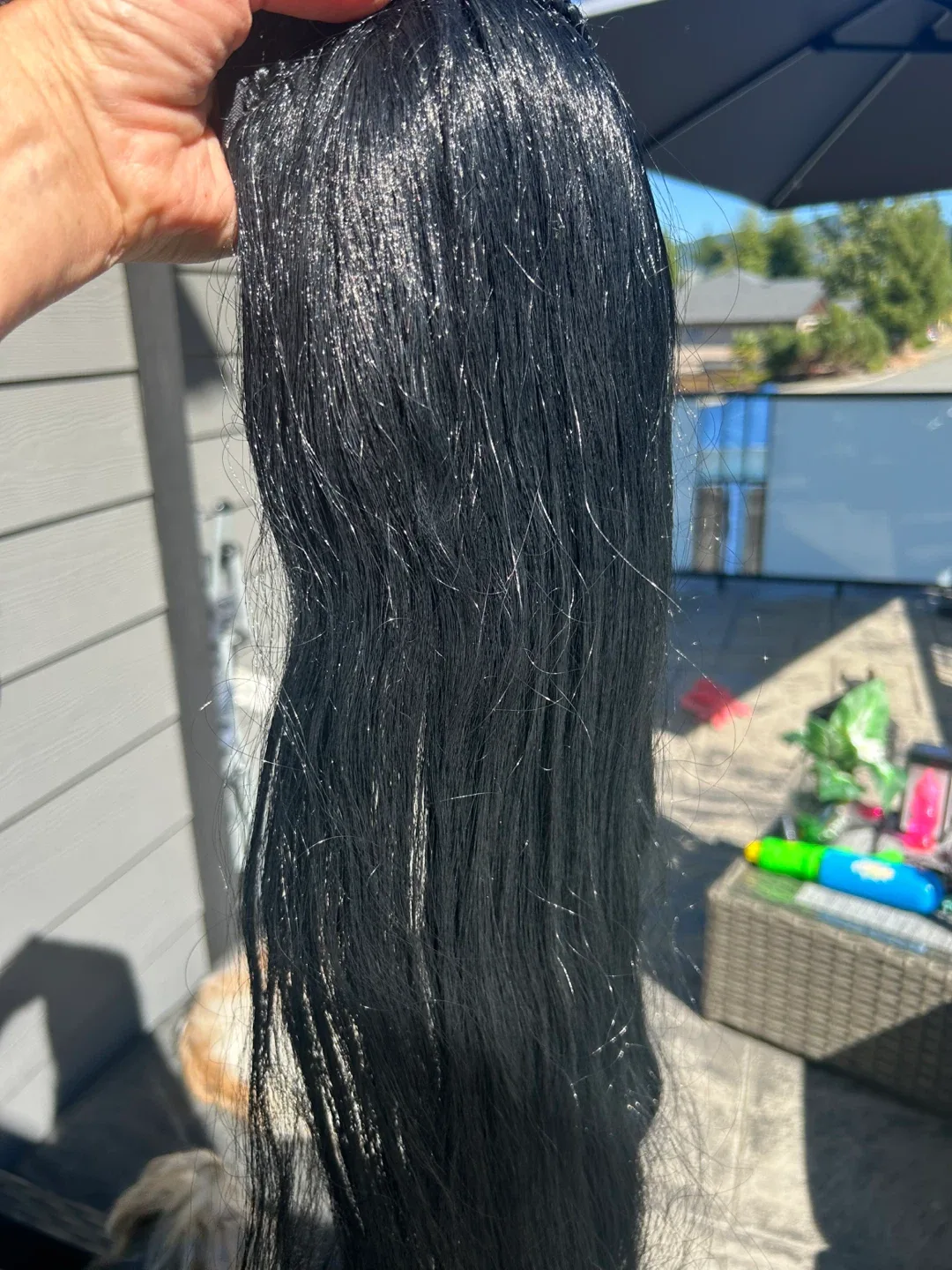 Ashish Hair Styles - Black & Brown image indicator(5)