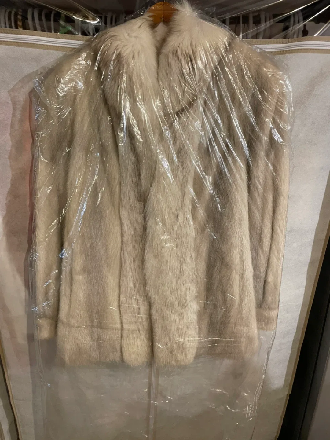 Fur Mink Coat - Beige image indicator(2)