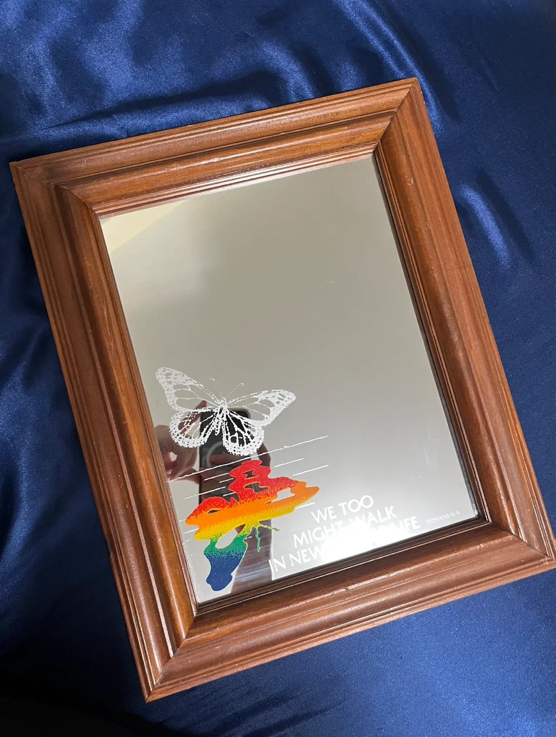 Butterfly Mirror with Wooden Frame thumbnail