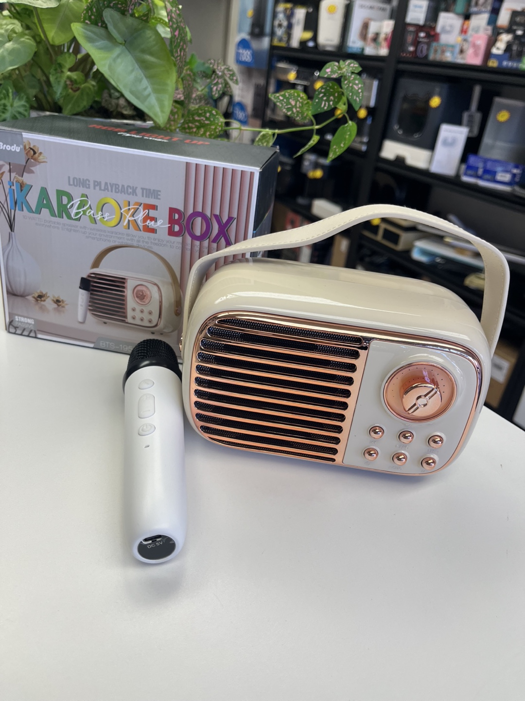 Brodu Karaoke Box BTS-199