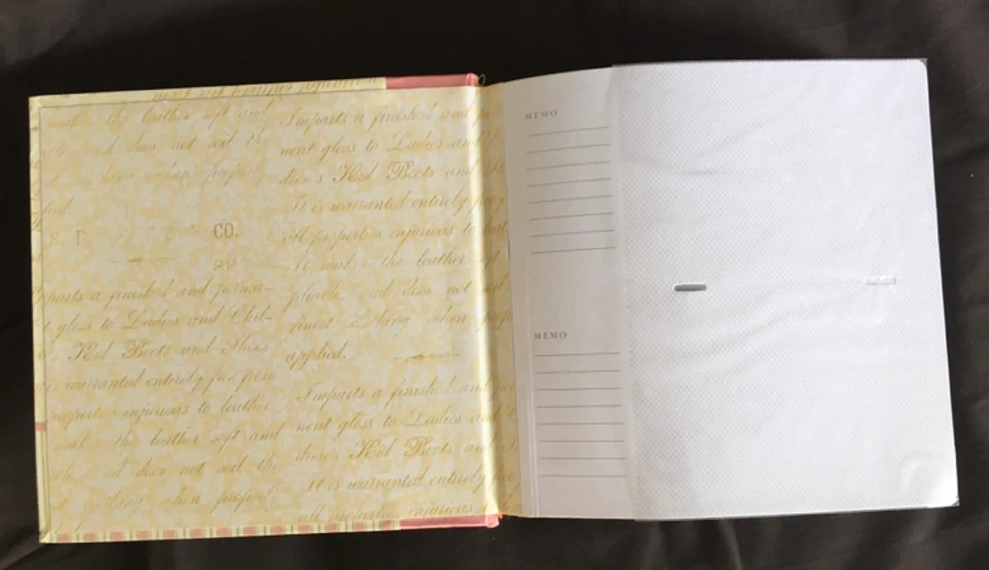 Tina Higgins Photo Album image indicator(3)