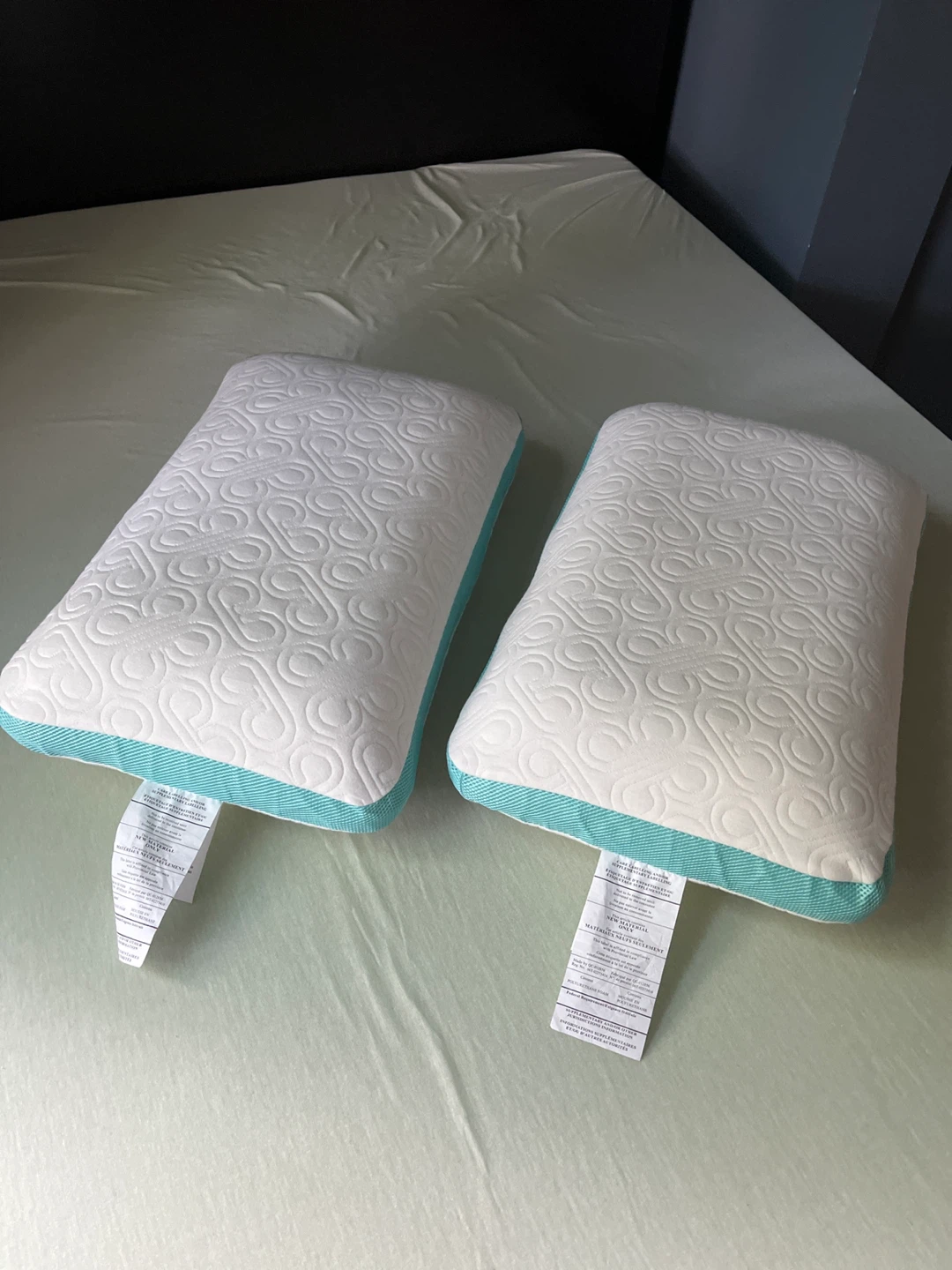2 New Bloom Pillows