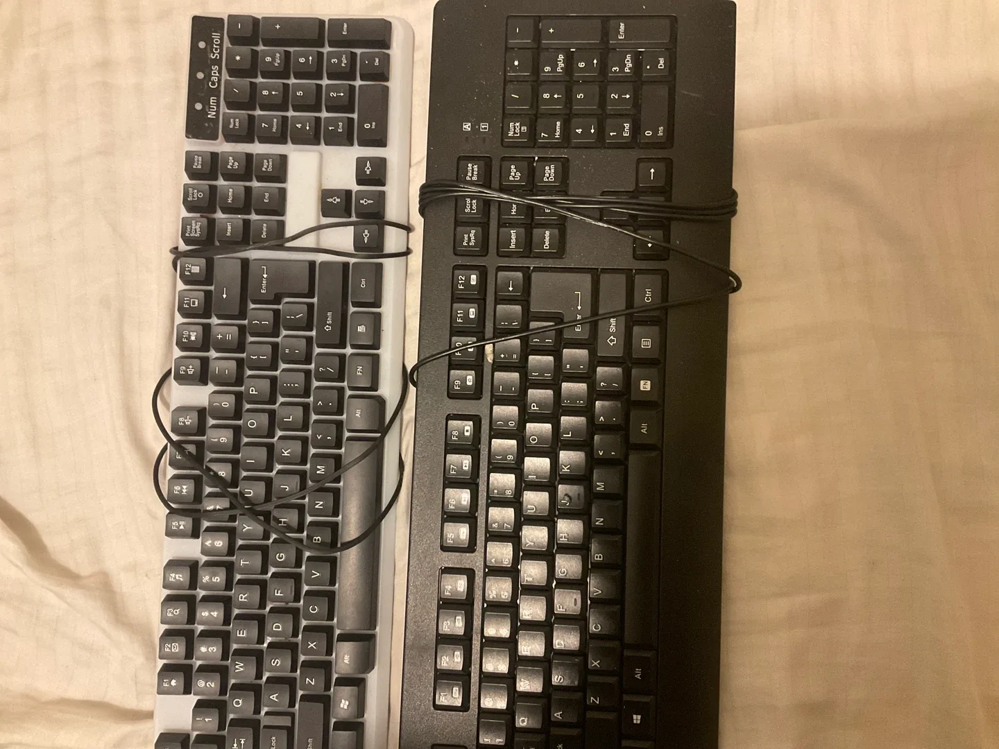 Two Computer Keyboards - Black and White! thumbnail