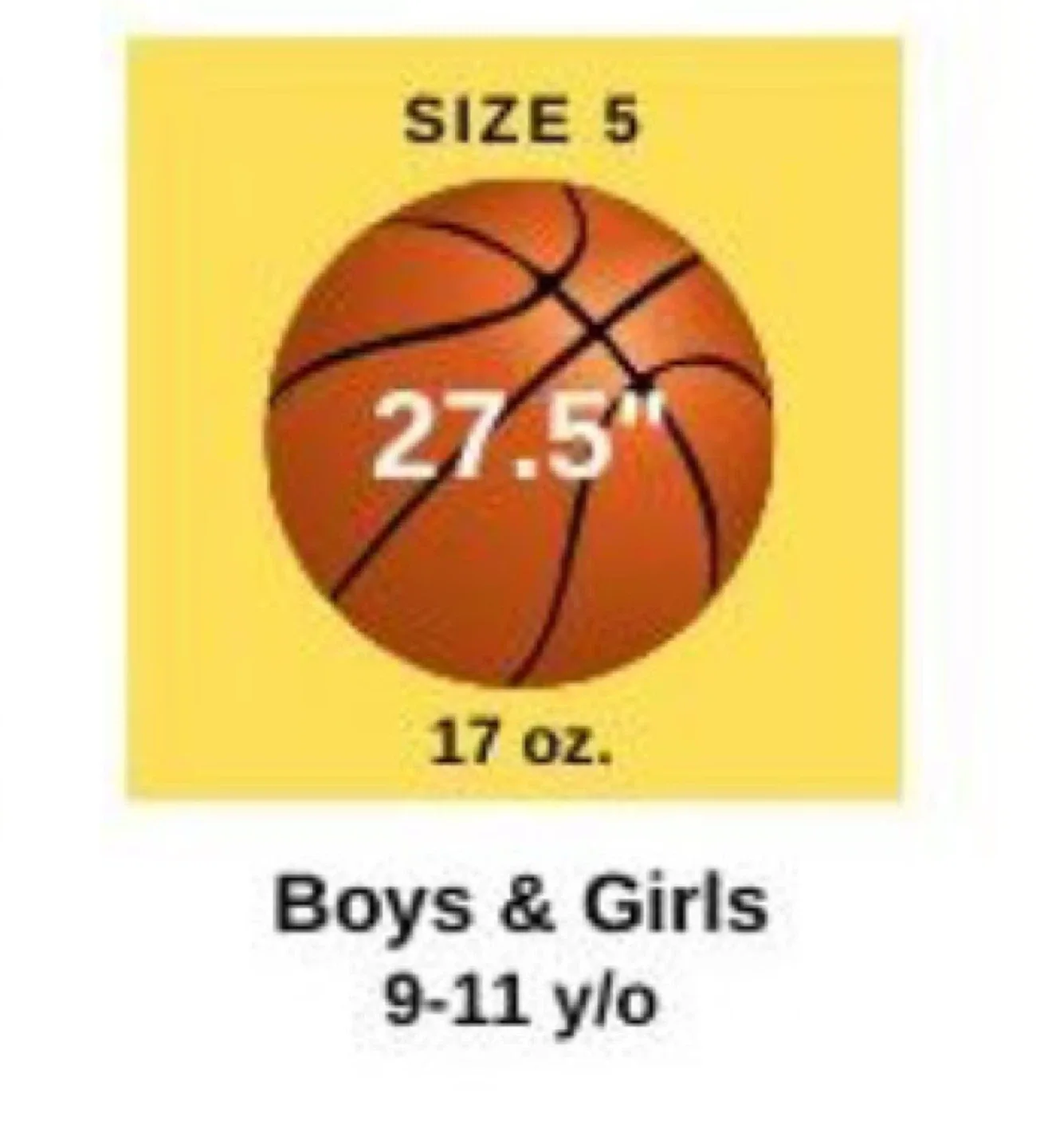 Adidas All-Court Official Game Ball Size 5 image indicator(2)