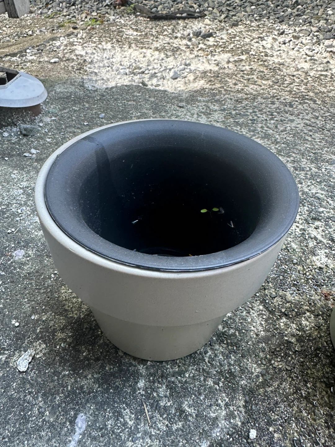 Two Neutral-Toned Planter Pots - photo 3