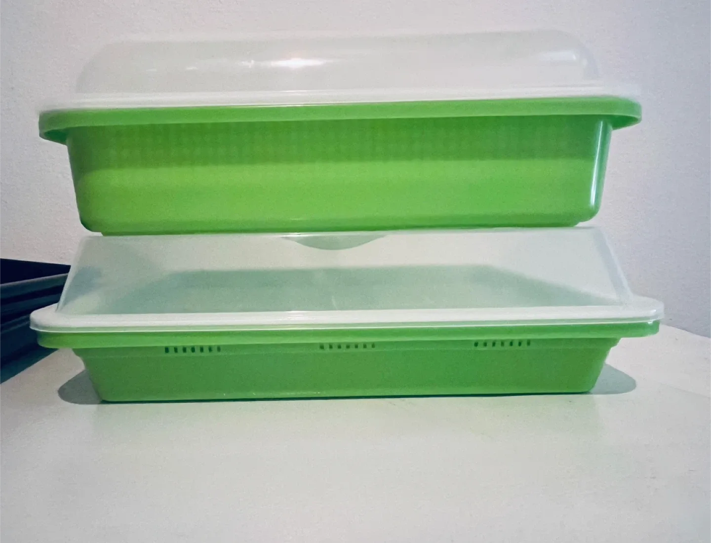 Seed Sprouting Trays with LED Grow Light thumbnail