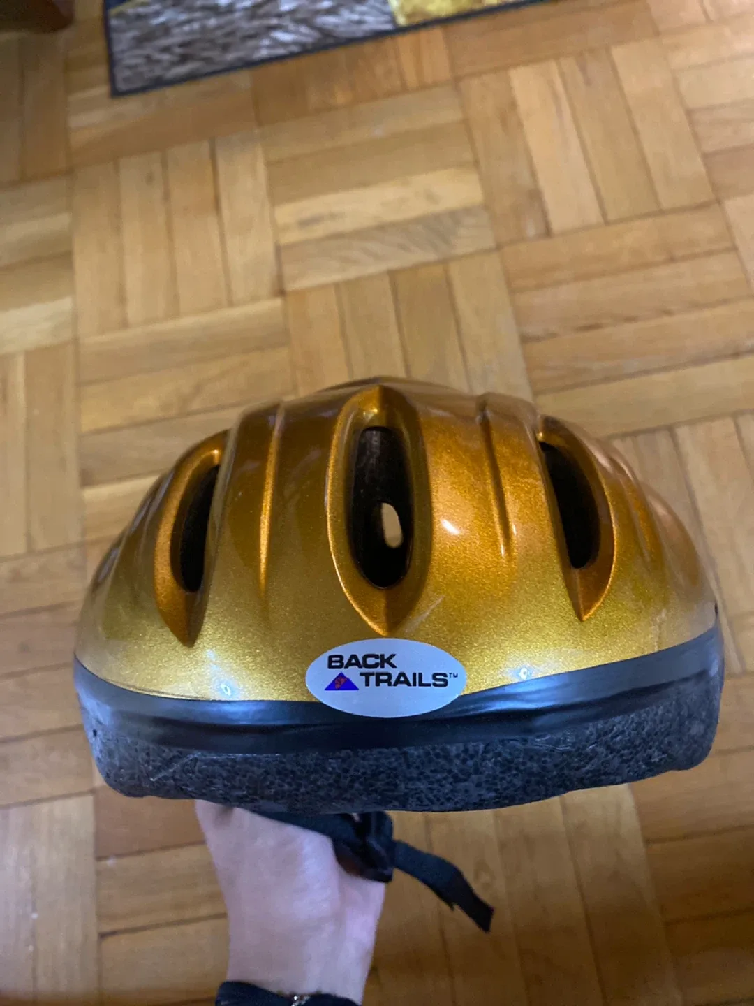 Back Trails Gold Bike Helmet image indicator(2)