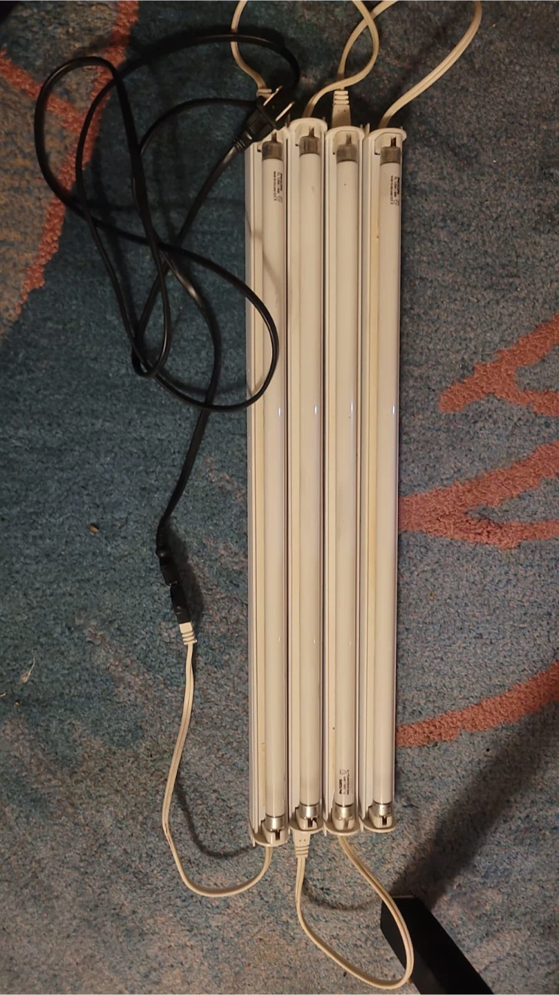 Philips TL 13W/840 Fluorescent Tube Light Bulbs - photo 3