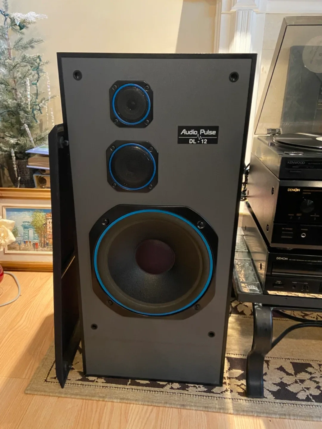 Audio Pulse DL-12 Speakers image indicator(6)