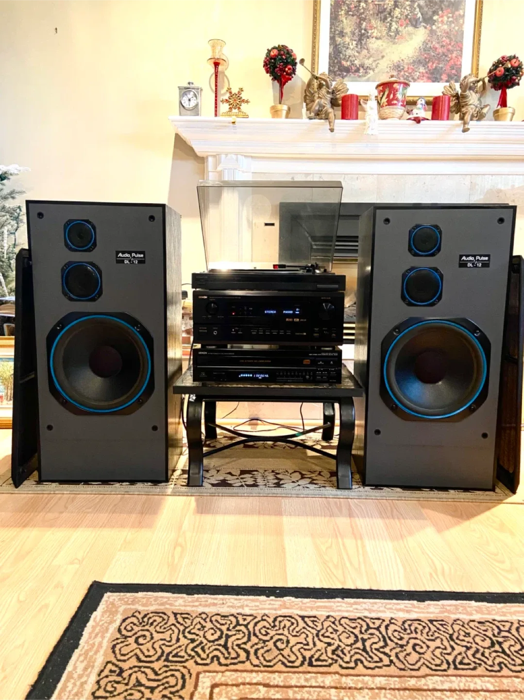 Audio Pulse DL-12 Speakers image indicator(2)