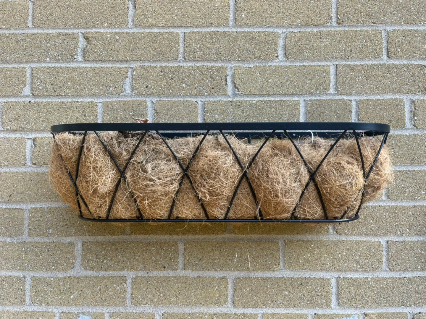 Black Metal Wall Planter with Coco Liner thumbnail