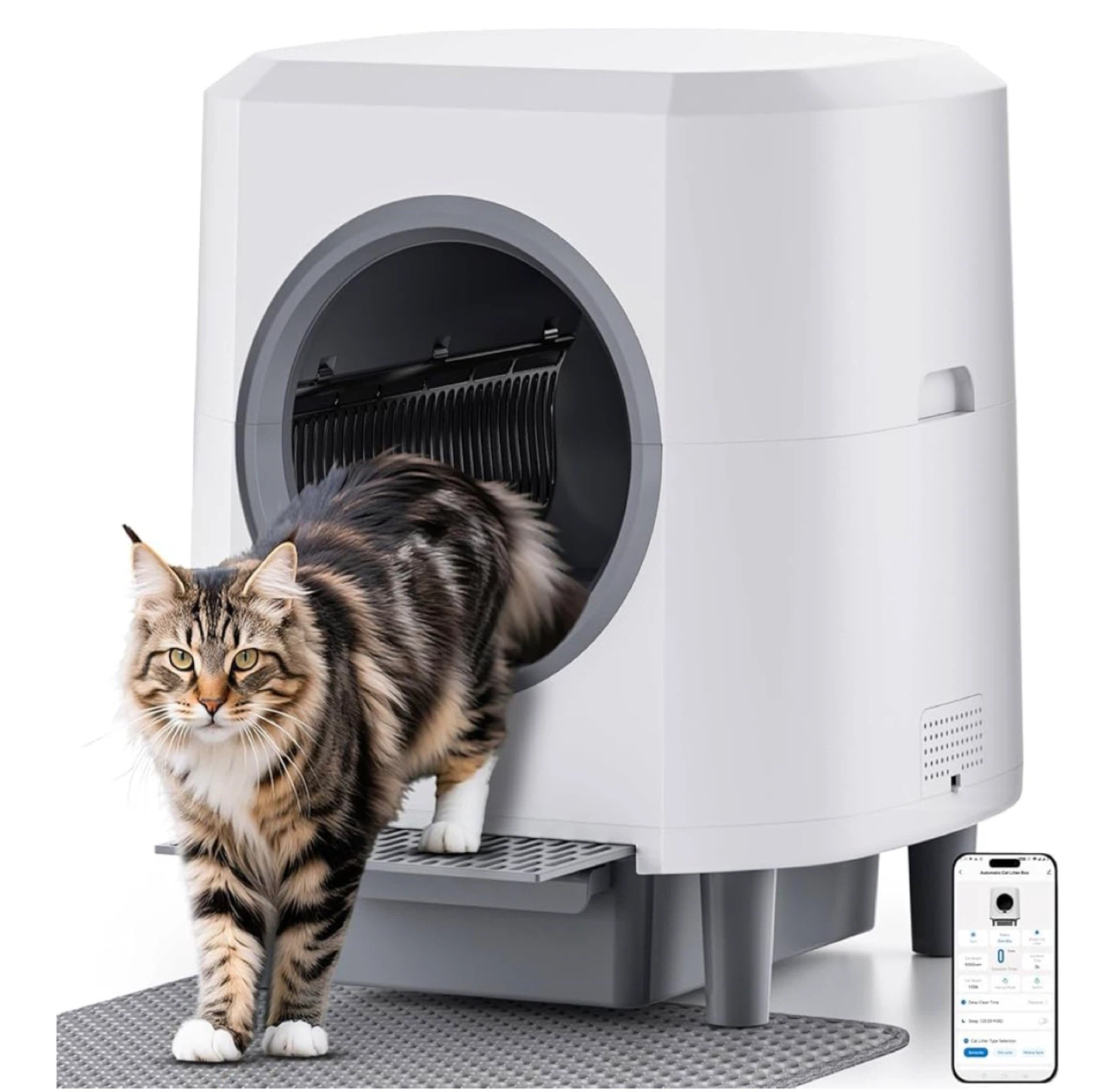 Self Cleaning Cat Litter Box