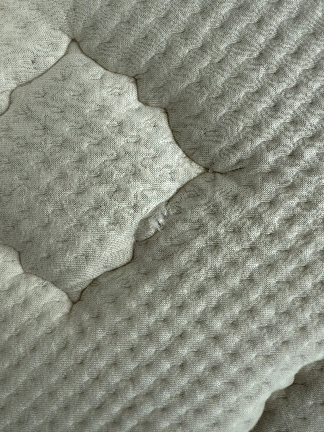 Nest Bedding Alex. Sig. Series Queen Mattress (Firm & Medium) image indicator(4)