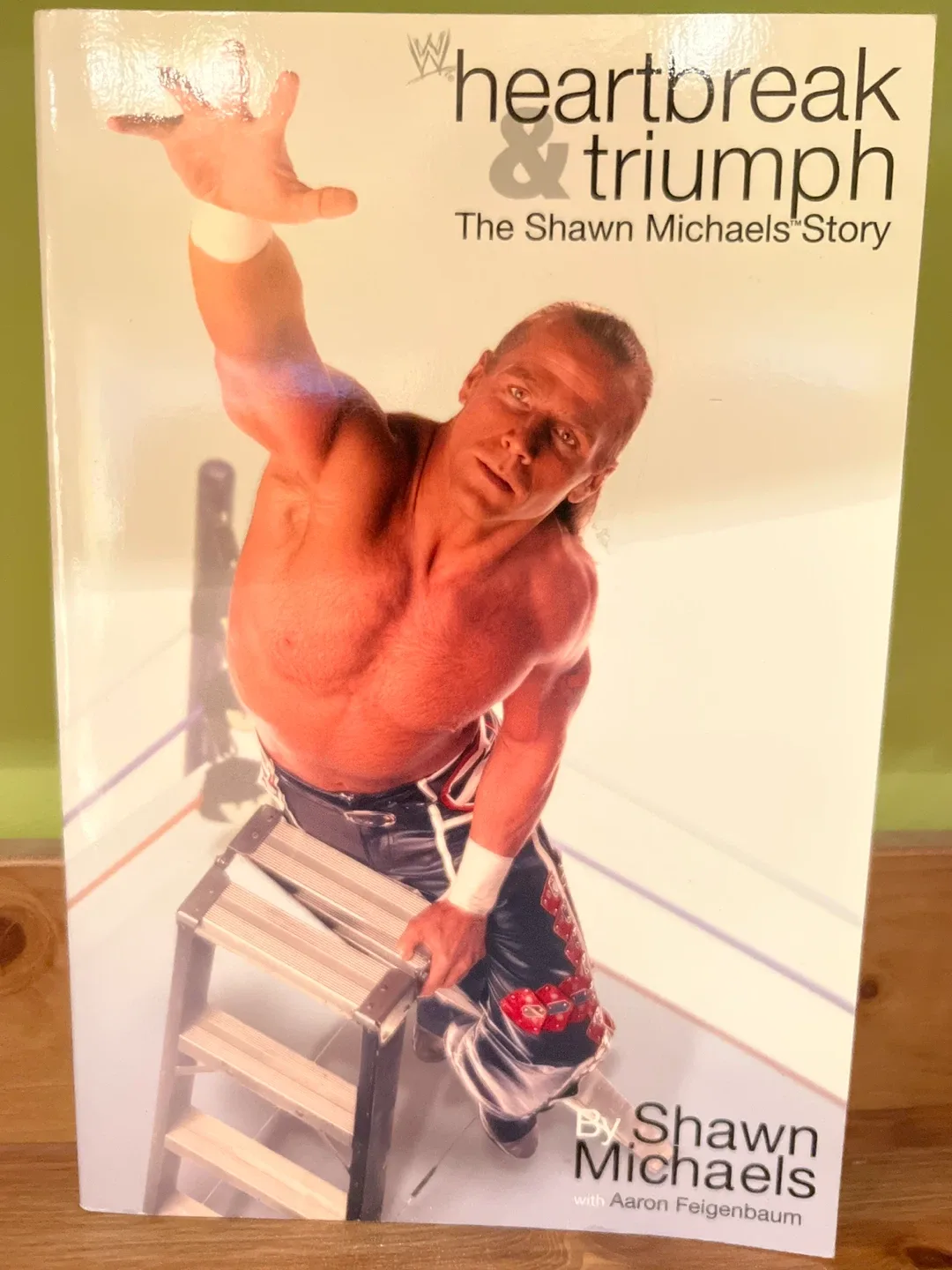 Lot of 5 WWE Wrestler Autobiographies thumbnail