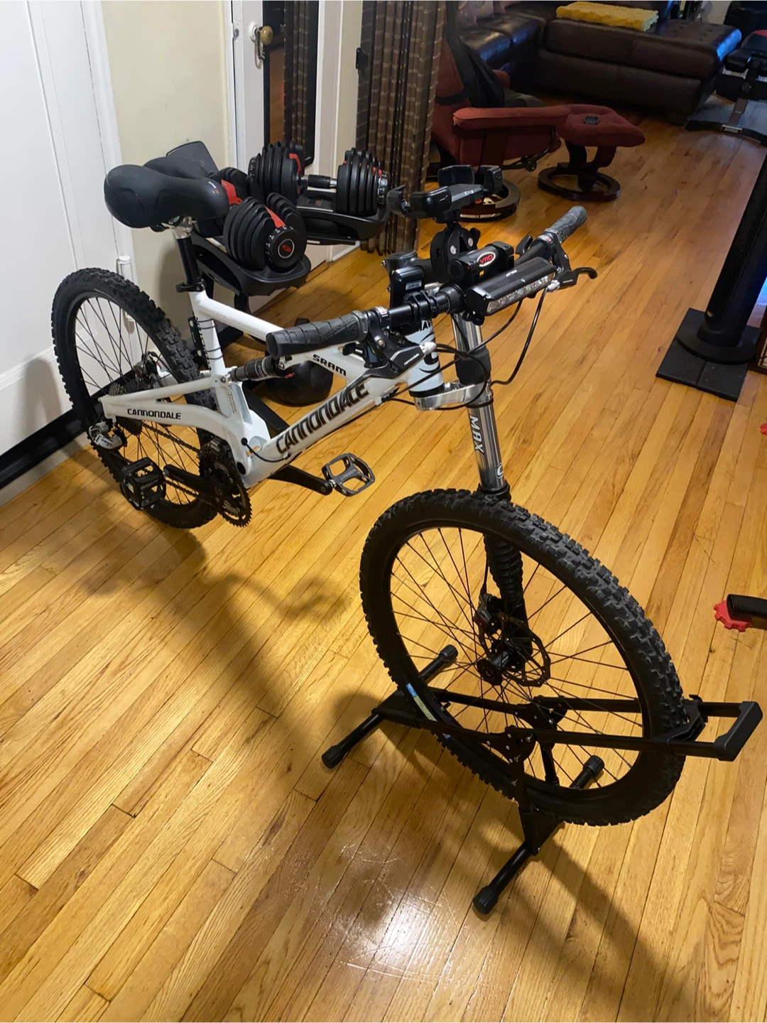 Cannondale prophet lefty