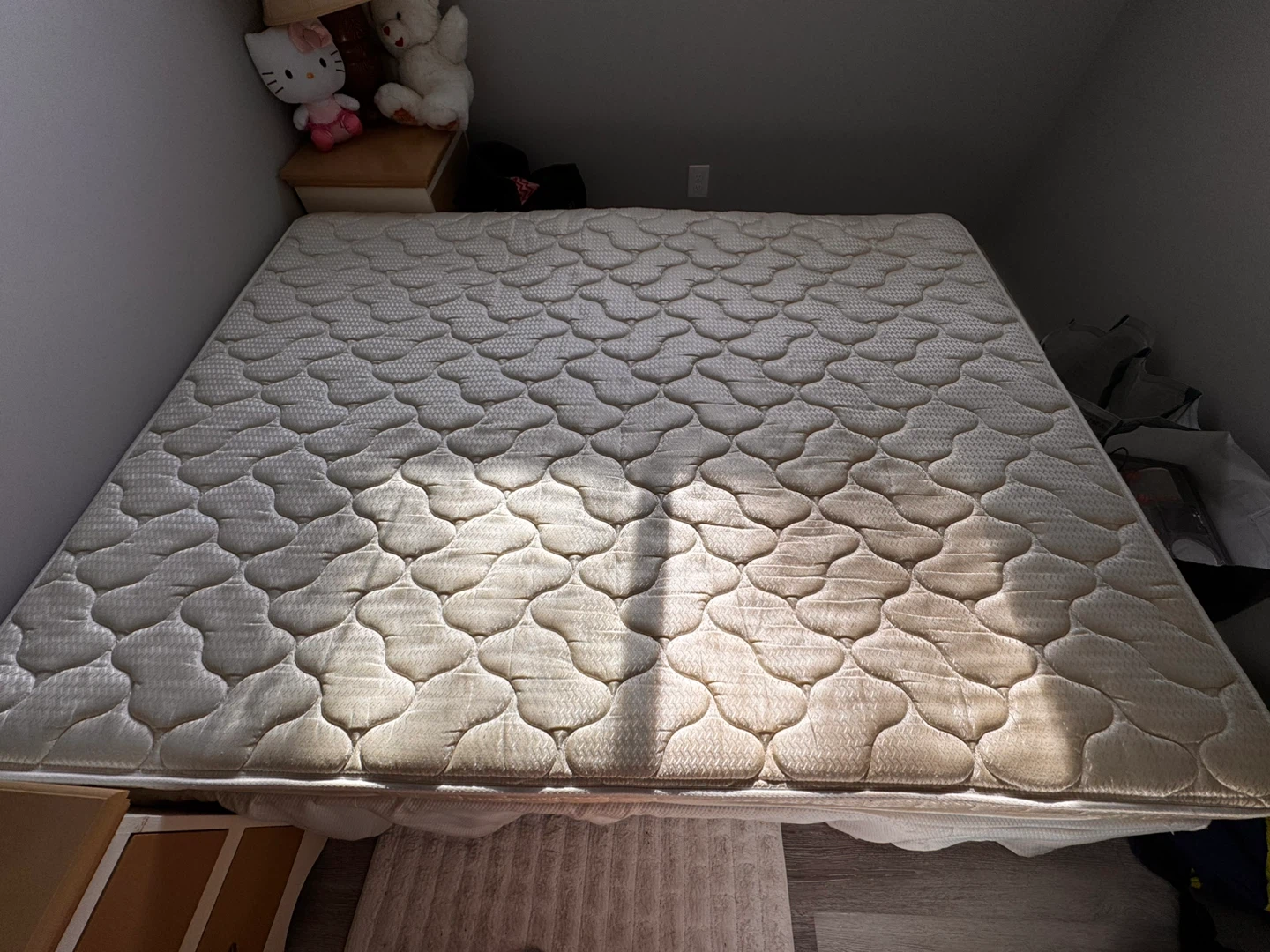 Bed frame and Queen Size Mattress