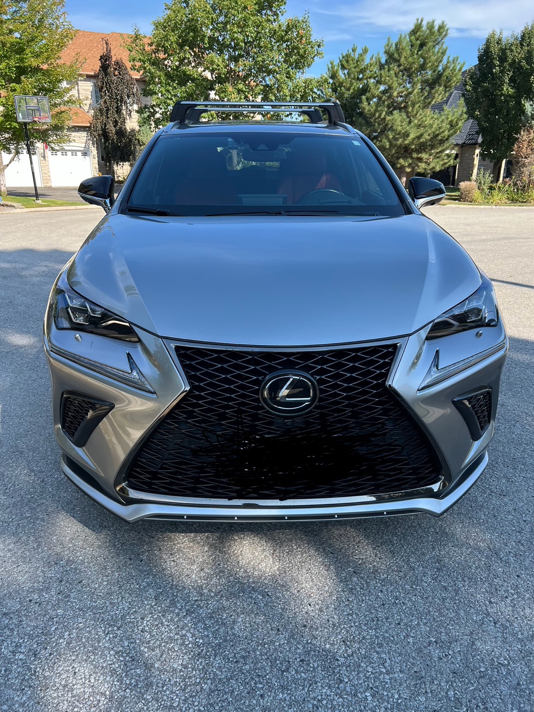 2020 LEXUS  NX300 F SPORT