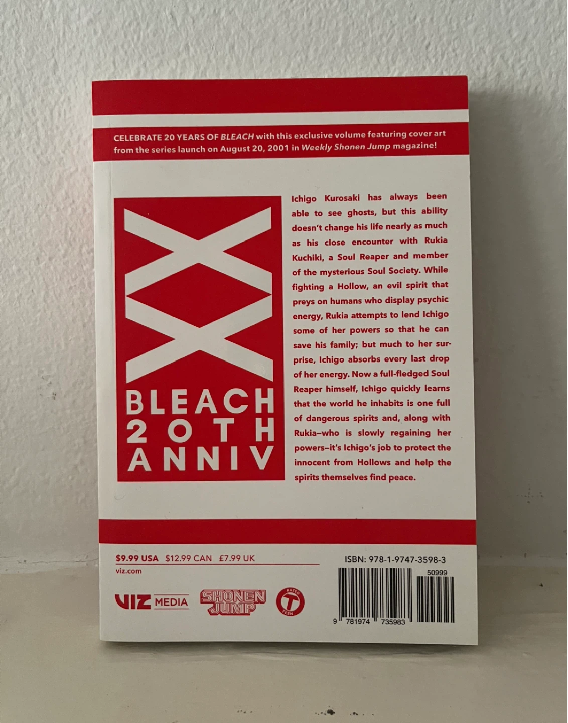 Bleach: 20th Anniversary Edition- Volume 1 - photo 2
