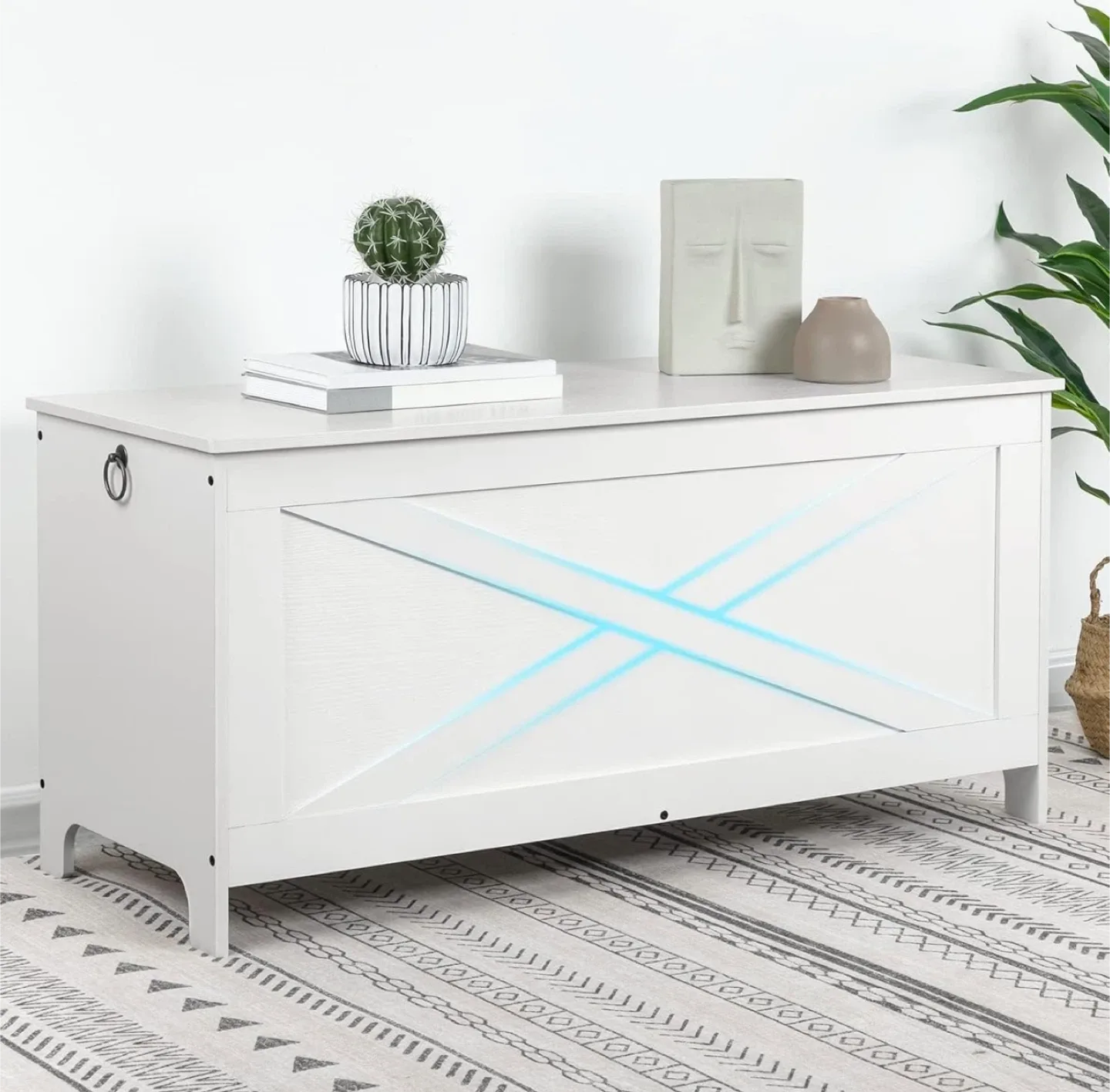 New storage bench $40 price firm (READ DESCRIPTION) image indicator(3)