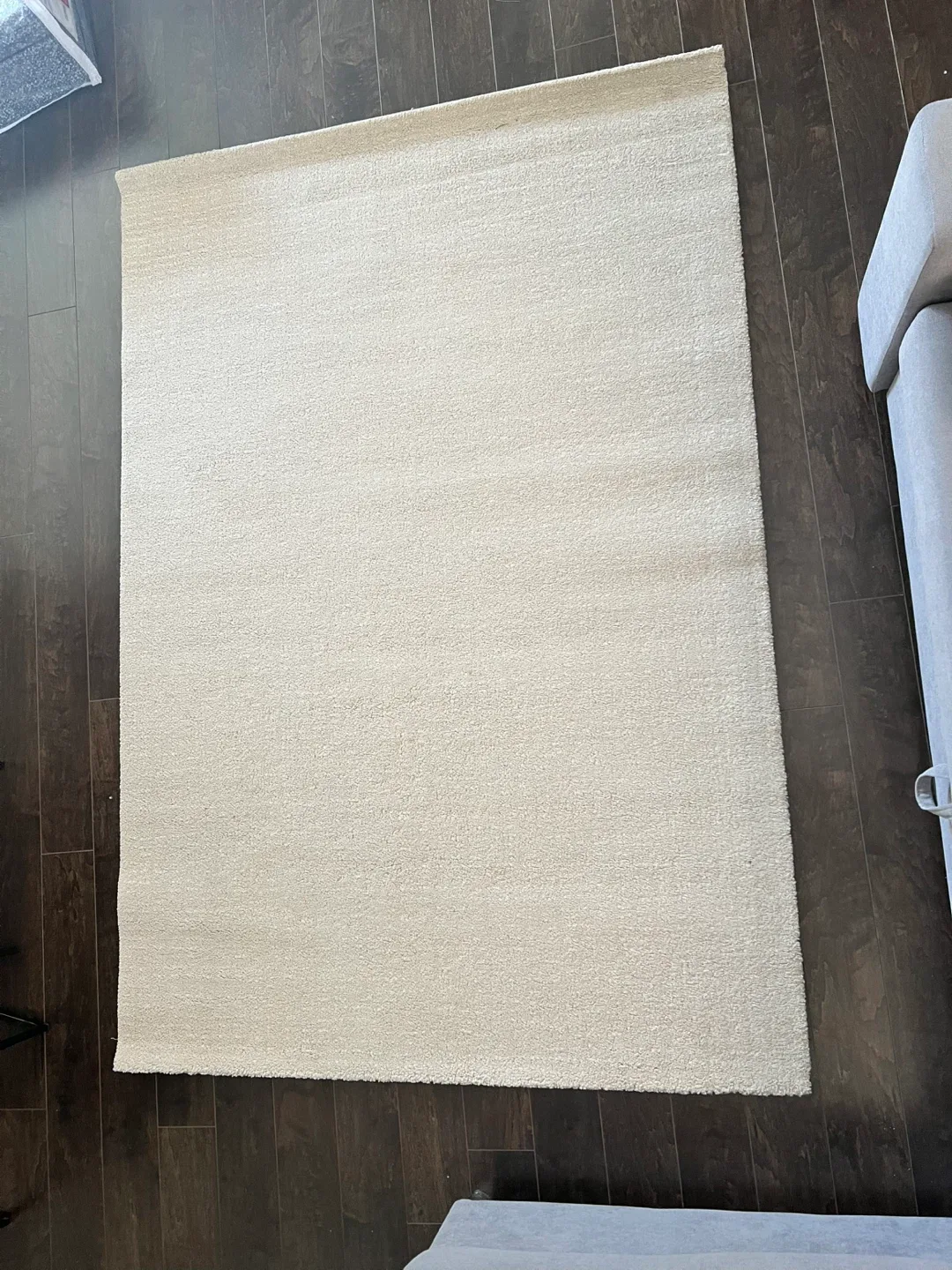 Beige Area Rug thumbnail