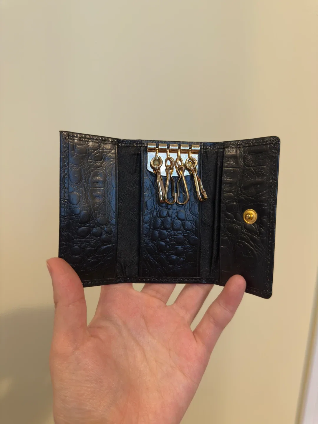 Angelo Falcon Key Case Holder Black image indicator(2)