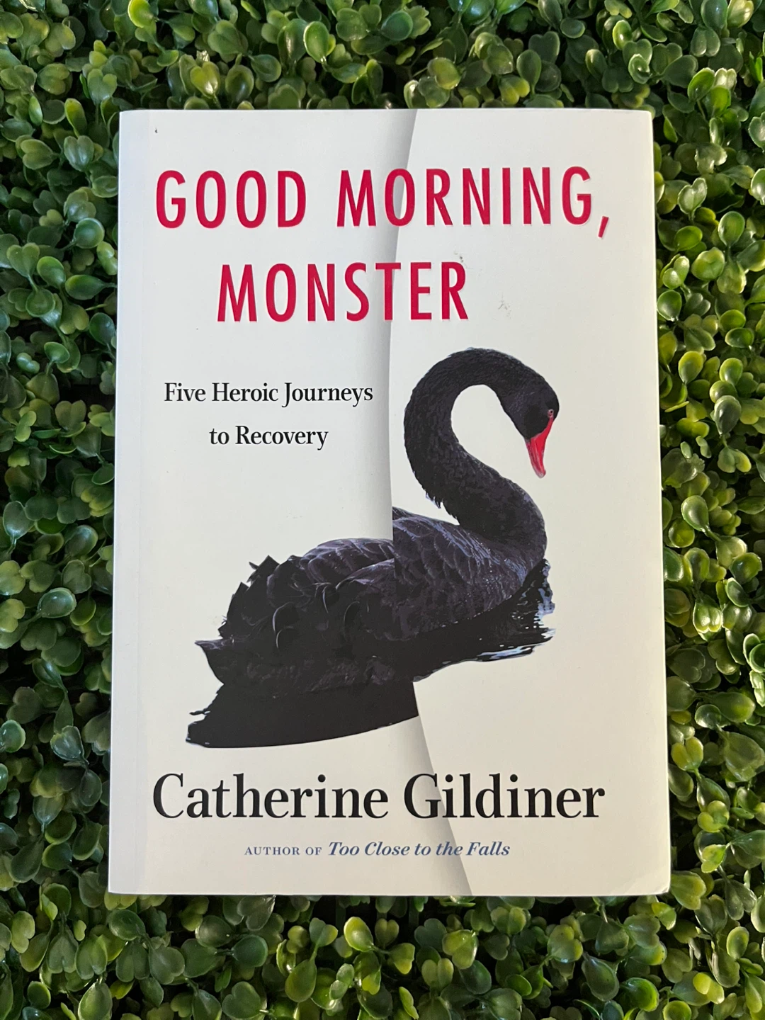 Good Morning Monster Book