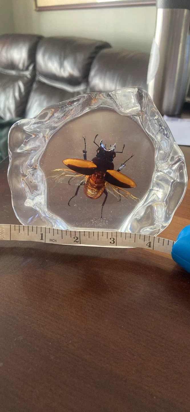 Flying Stag Beetle in resin image indicator(2)