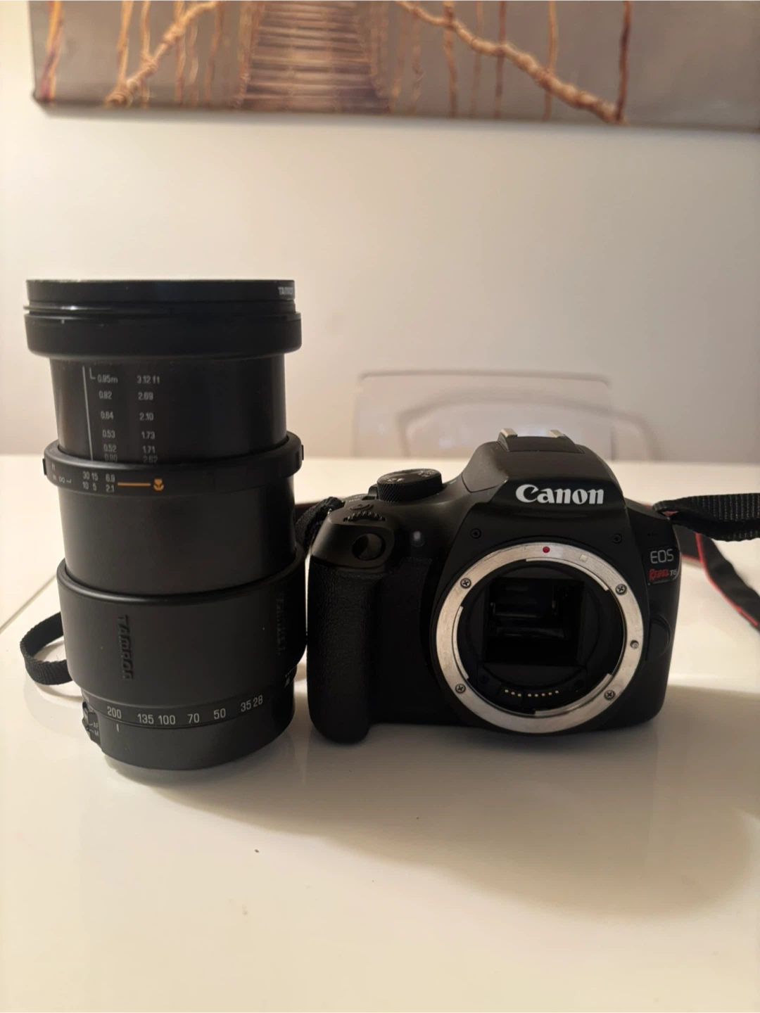 Canon EOS Rebel T6 Camera with Tamron Lens