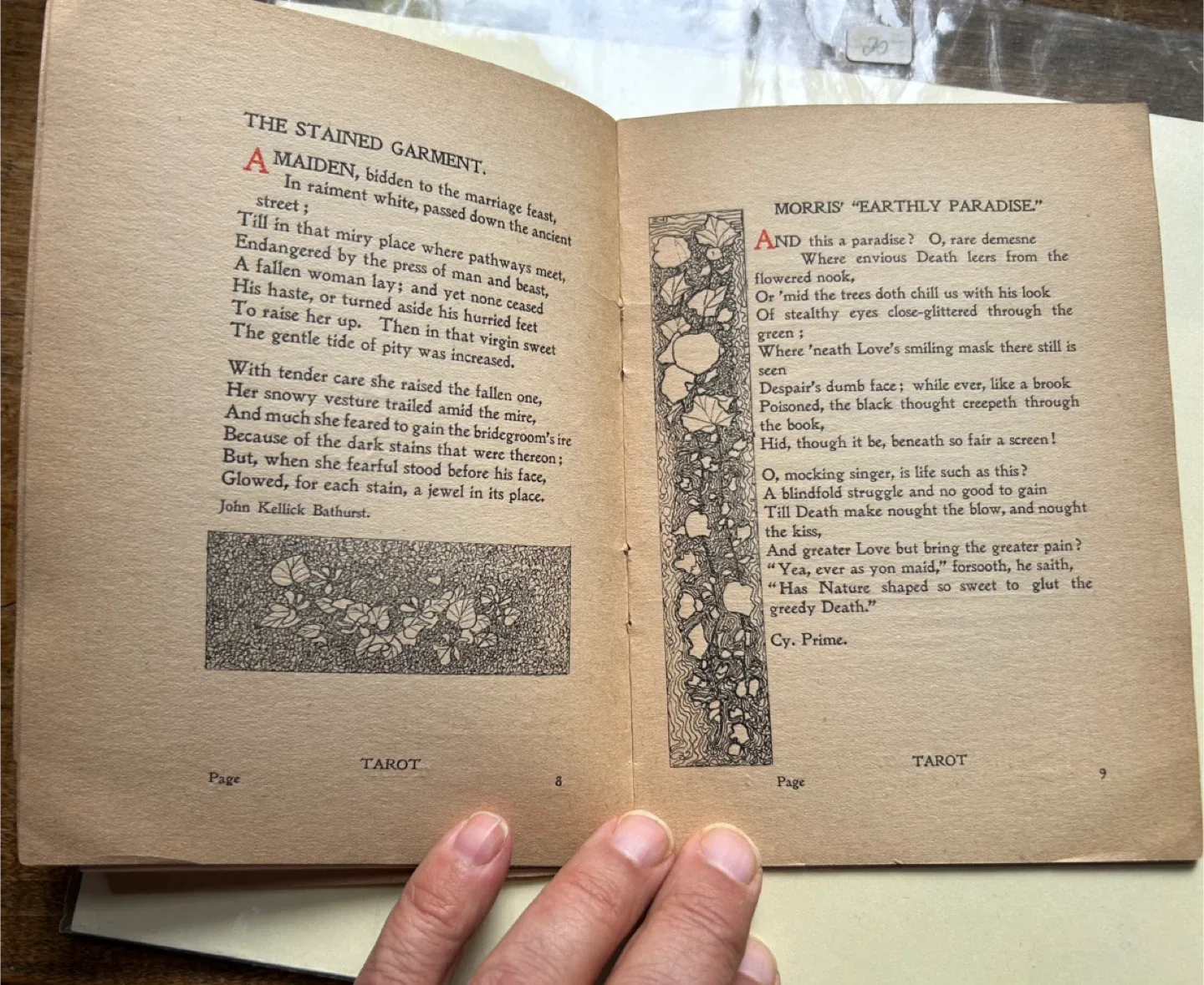 Toronto antique 1896 Tarot Monthly Illustrated Magazine ephemera image indicator(4)