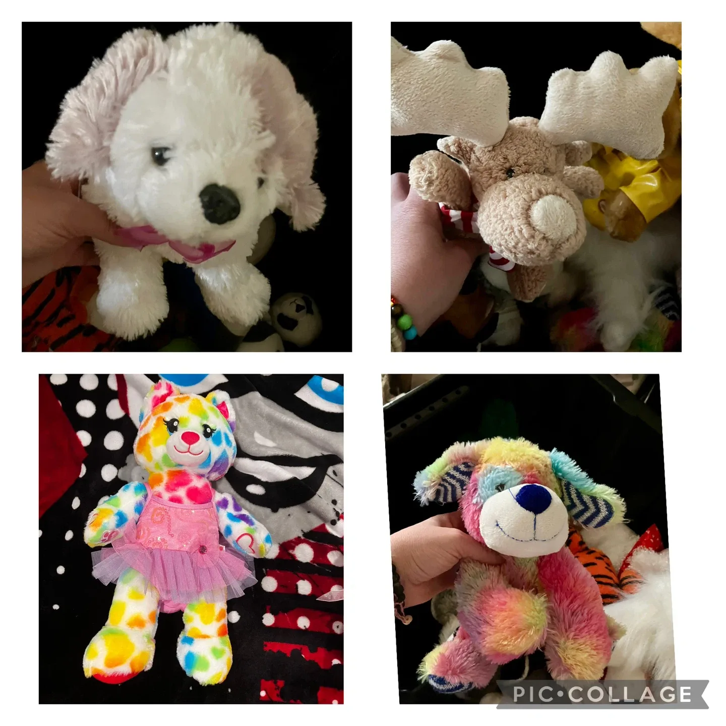 Gently Used Plushies 🥕 image indicator(5)