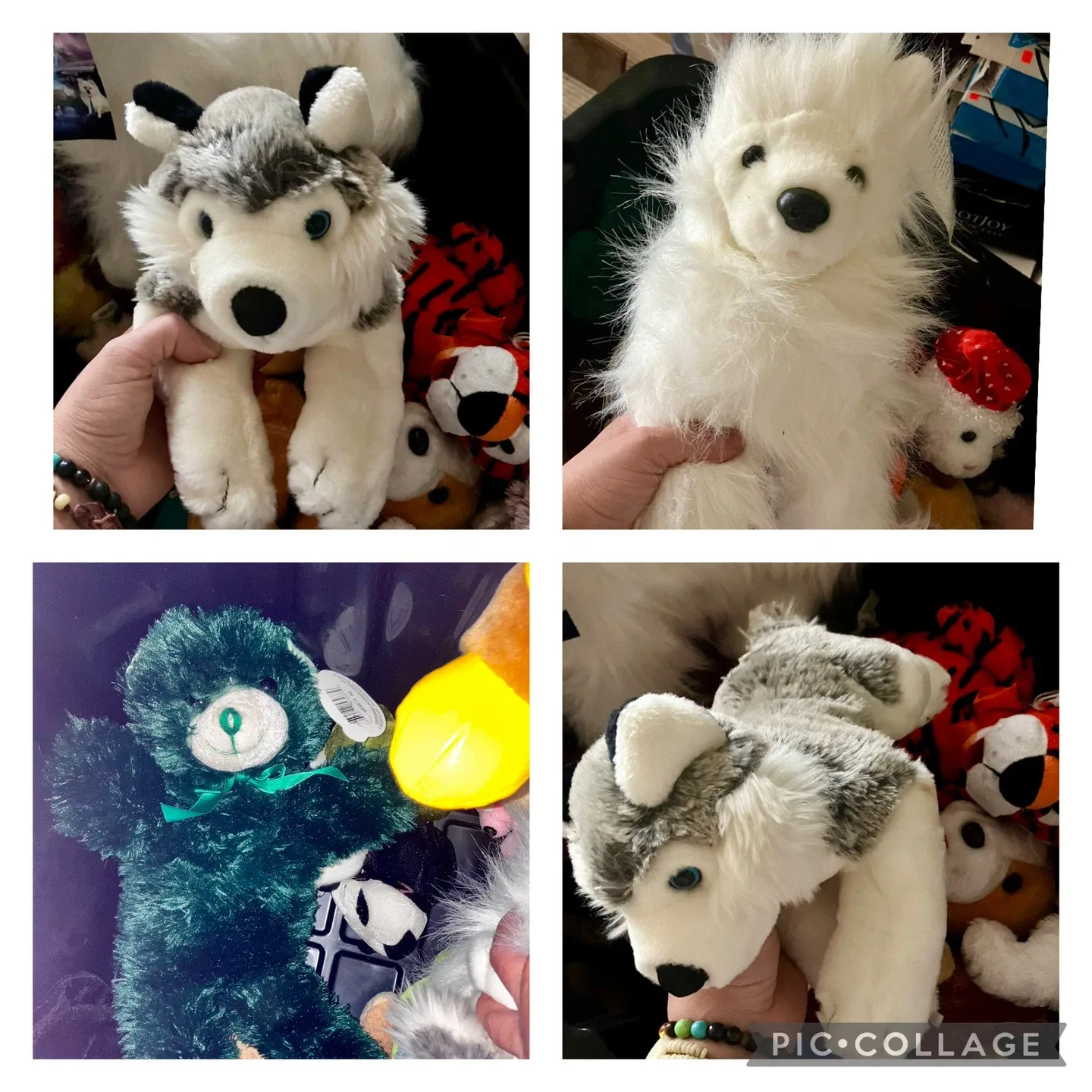 Gently Used Plushies 🥕 image indicator(6)