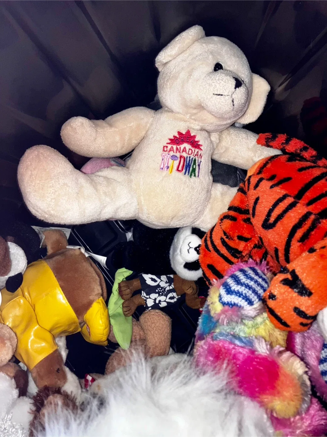 Gently Used Plushies 🥕 image indicator(8)