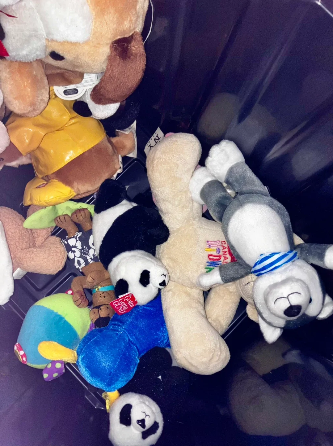 Gently Used Plushies 🥕 image indicator(9)