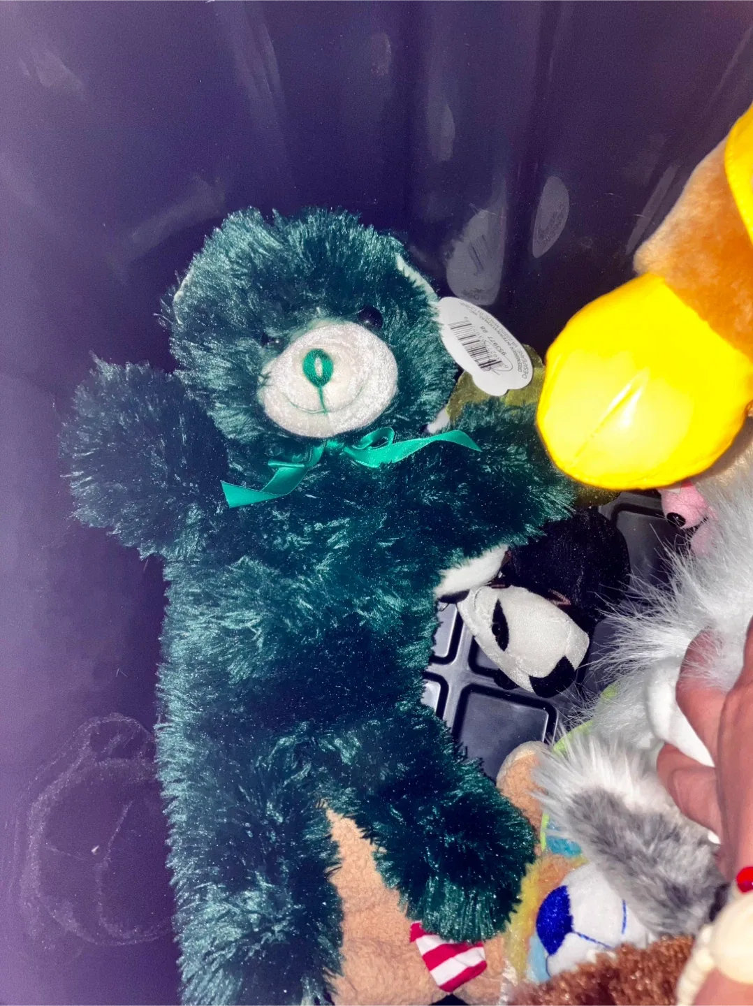 Gently Used Plushies 🥕 image indicator(10)