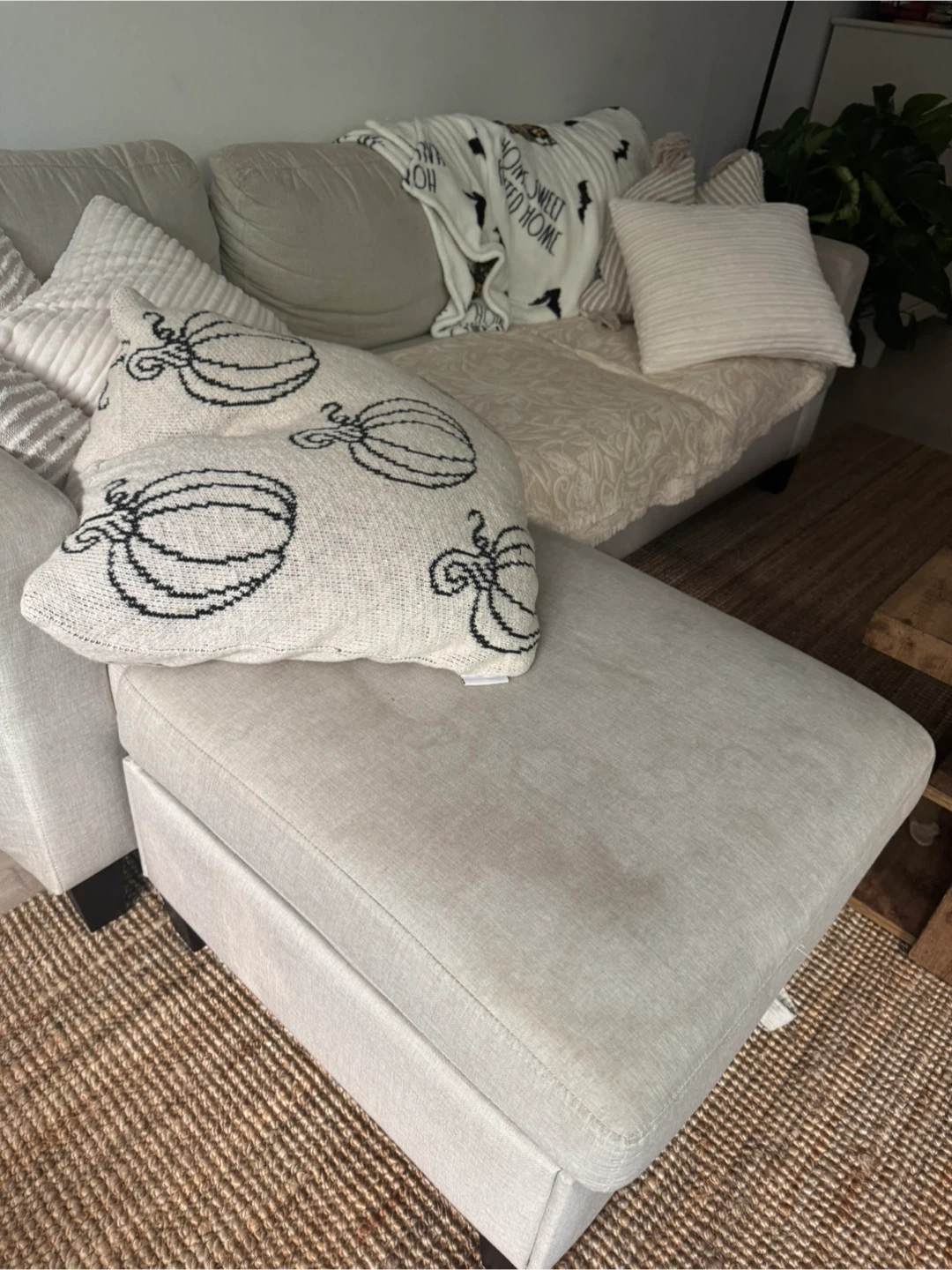 Beige Sectional Sofa with Chaise Lounge