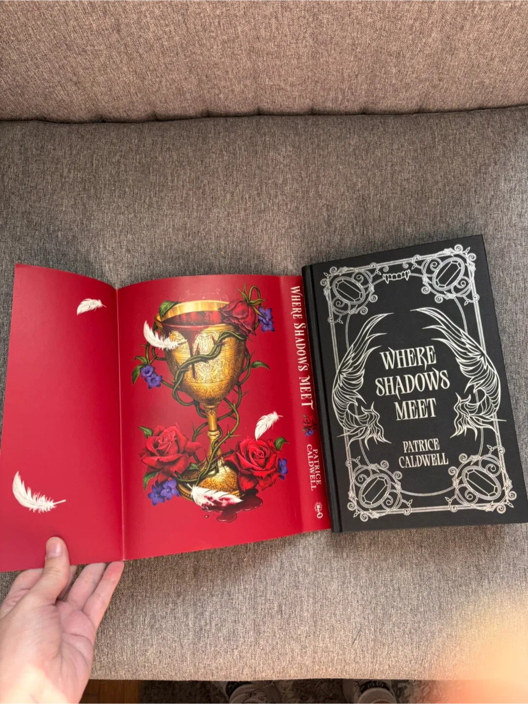 Where Shadows Meet image indicator(6)