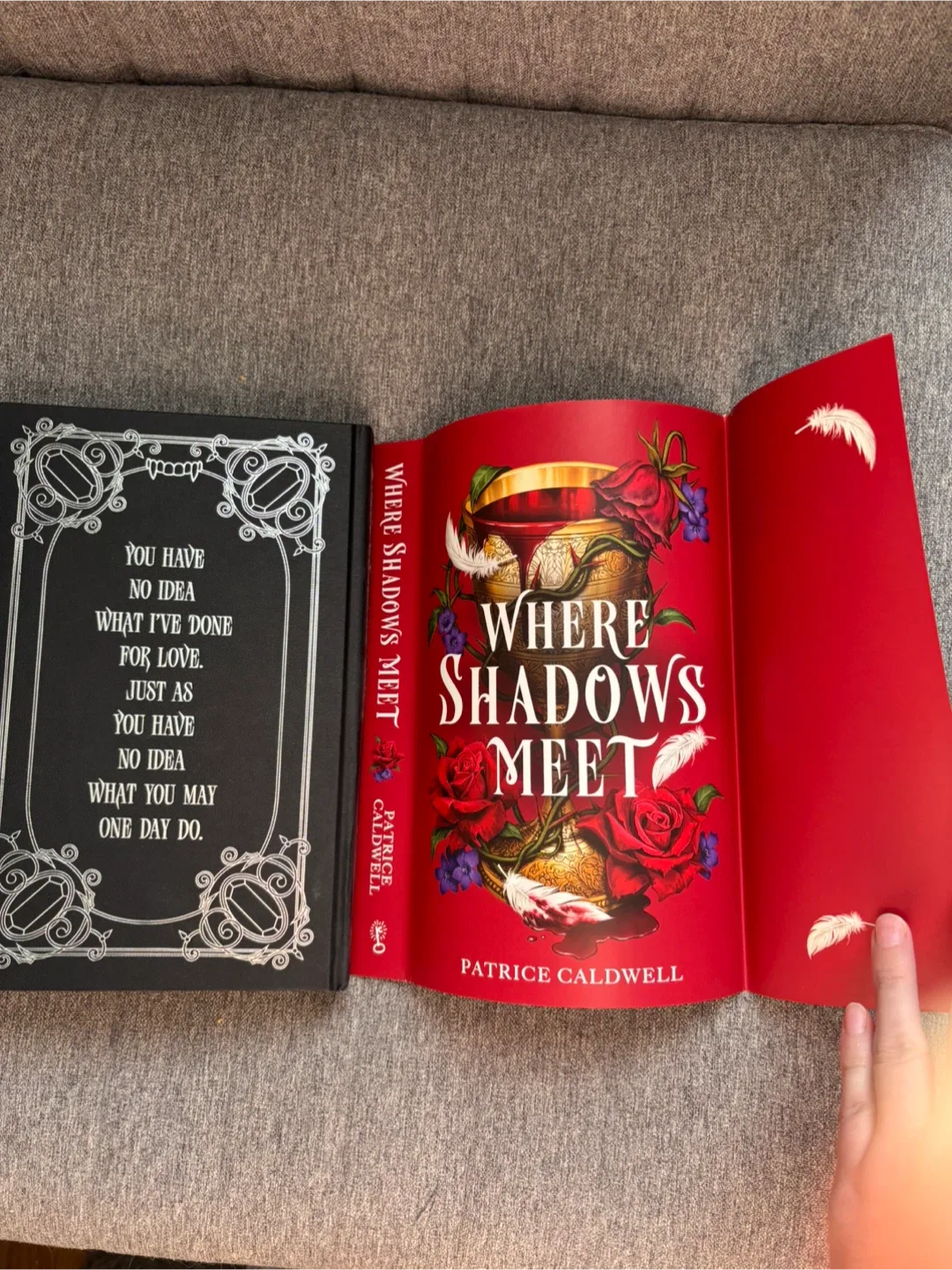 Where Shadows Meet image indicator(4)