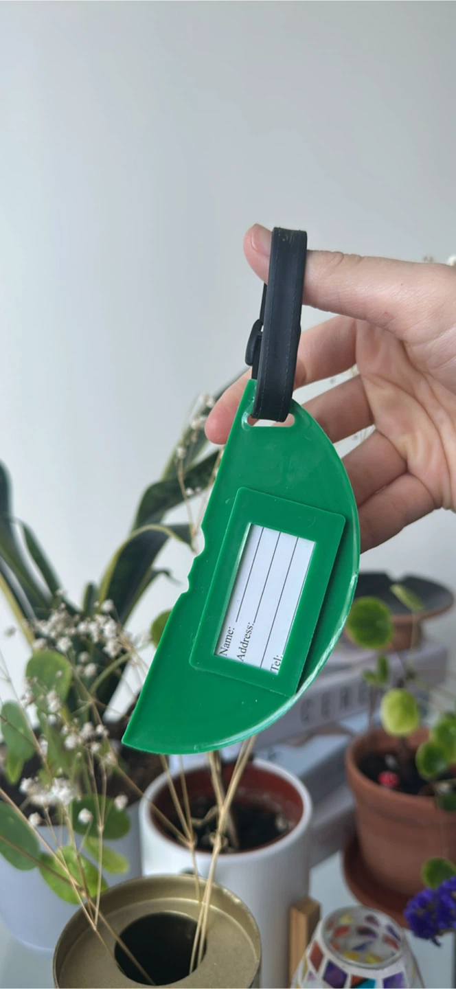 Watermelon Luggage Tag - Fun Travel Accessory - photo 4