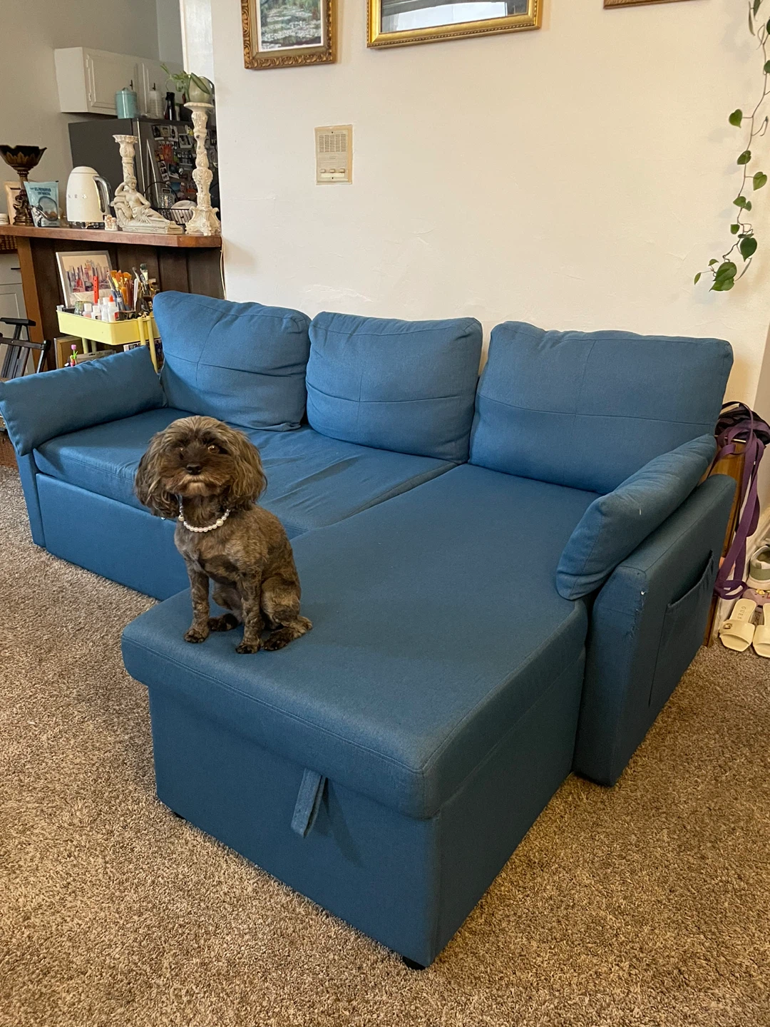 Blue Sleeper Sofa with Storage