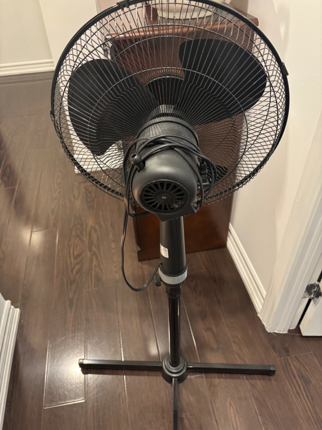 Black Fan - photo 3