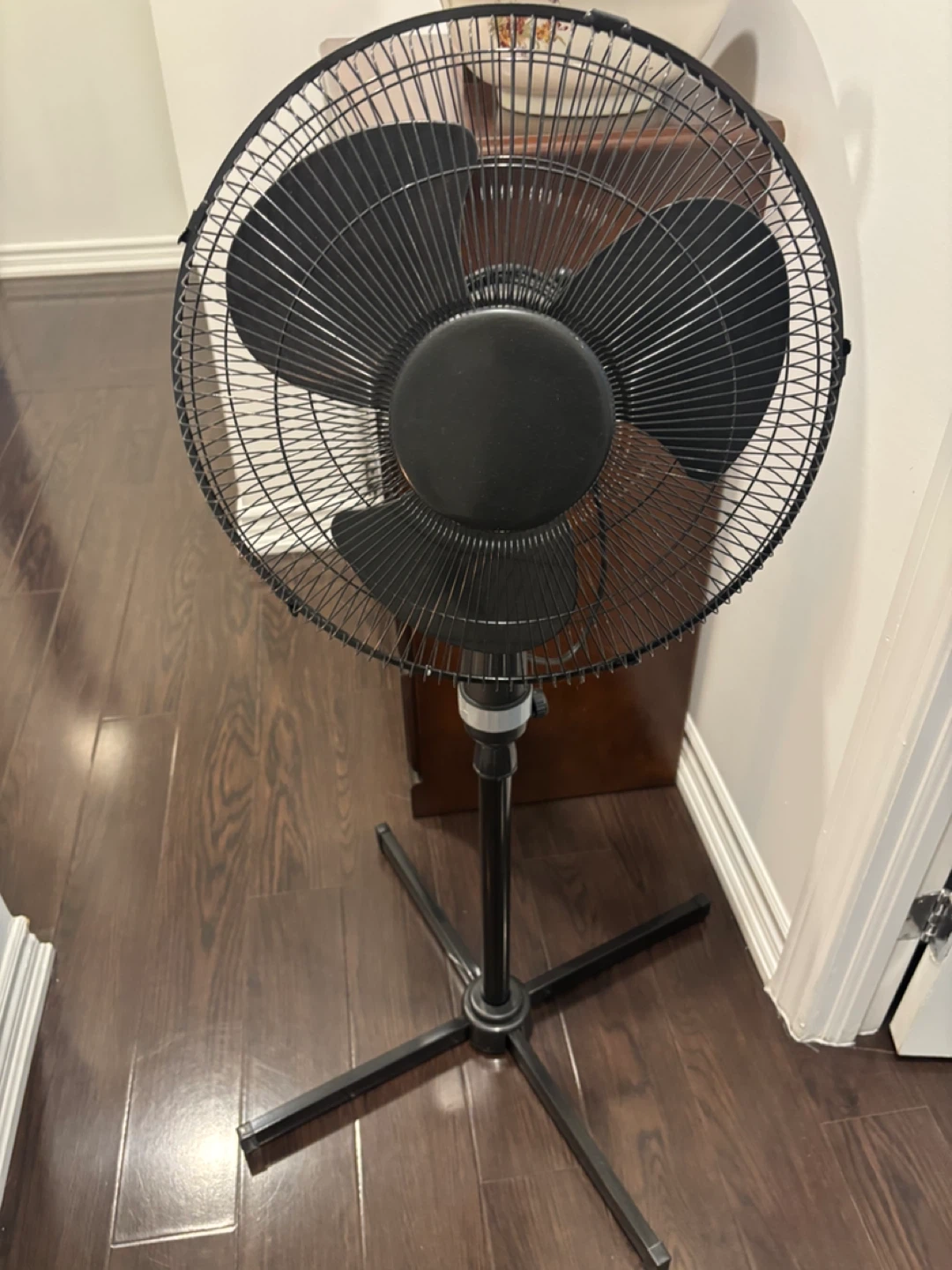 Black Fan